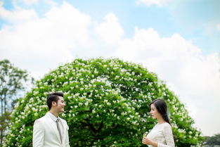 挪威森林摄影服务 捕捉自然与情感的完美交融